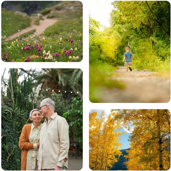 Mountain path with wildflowers