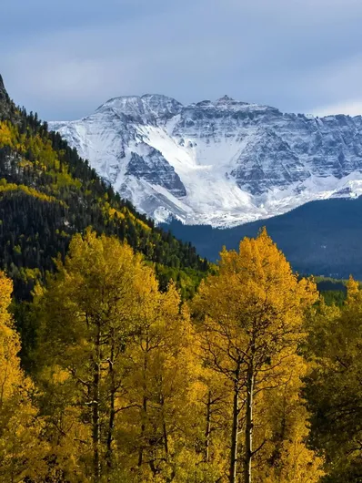 Snowy mountains with autumn trees